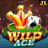 Wild Ace on Okada Play